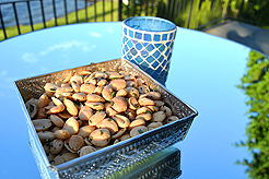 WELCOME TO THE KASBAH